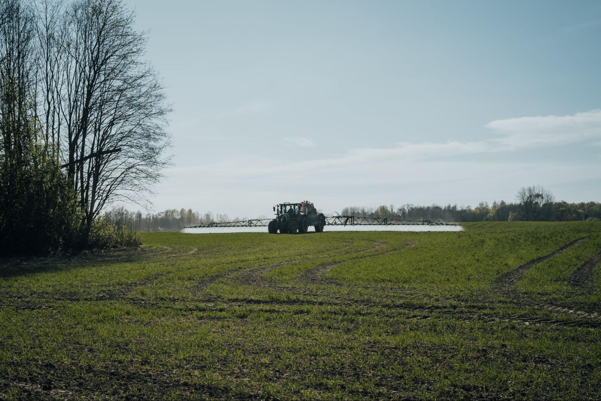 Laukai link Kirkilų