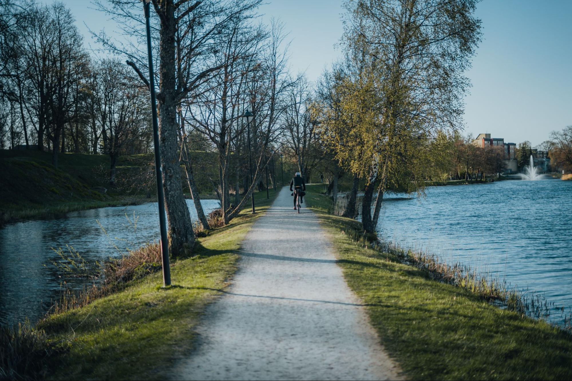 Takas palei ežerą
