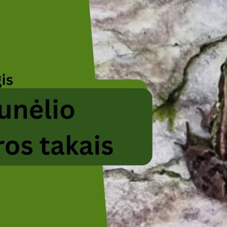Žygis ,,Nemunėlio vasaros takais"
