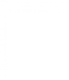 no-image-c9243e381d2229cc3c68d2ab39117087.png